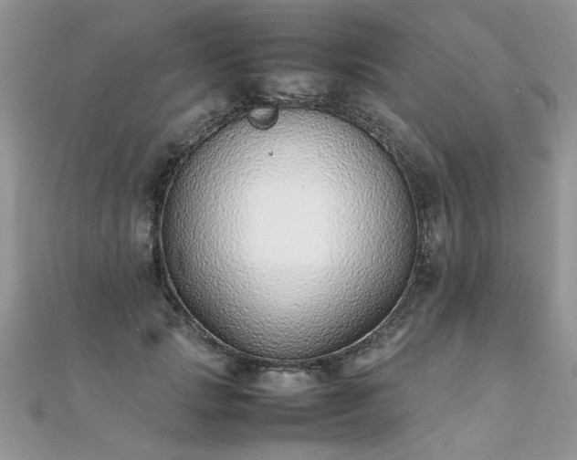 X0000112040749200908101401