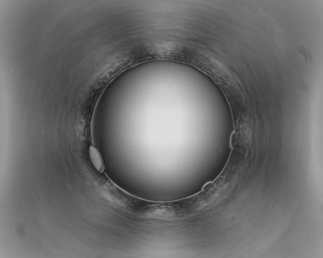 X0000112040750200908101401