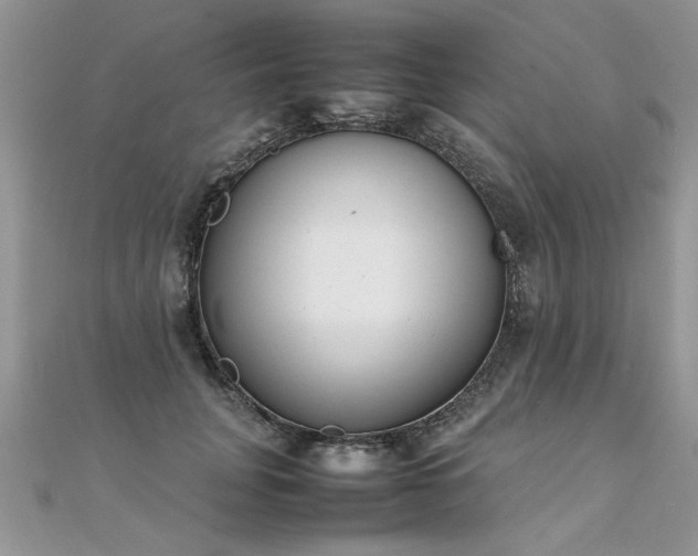 X0000112040751200908101401
