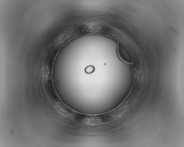 X0000112040752200908101401