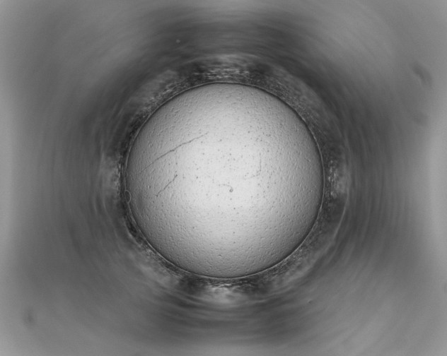 X0000112040753200908101401