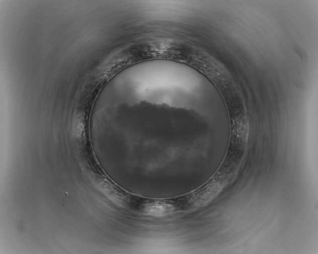 X0000112040754200908101401