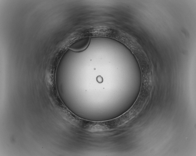 X0000112040755200908101401