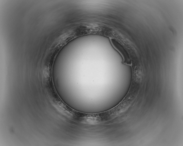 X0000112040756200908101401