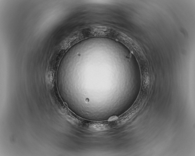 X0000112040759200908101401