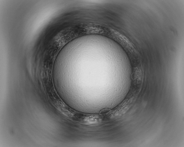 X0000112040761200908101401