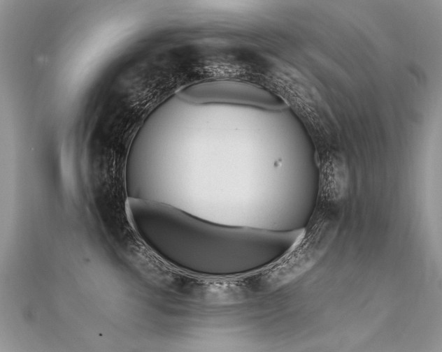 X0000112040762200908101401