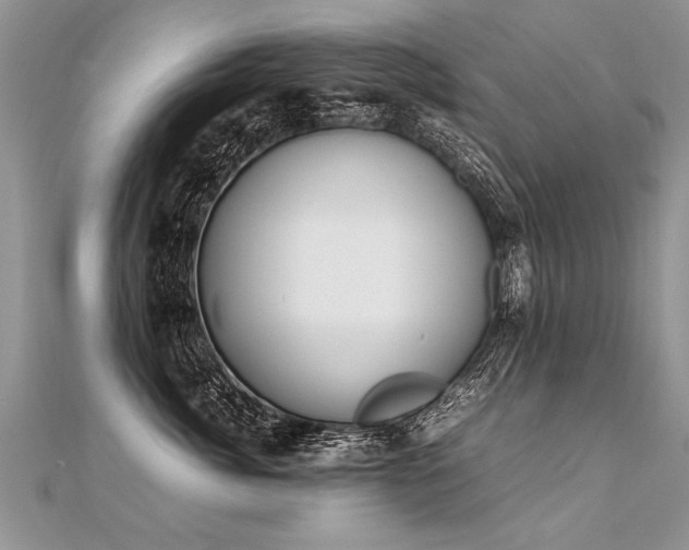 X0000112040764200908101401