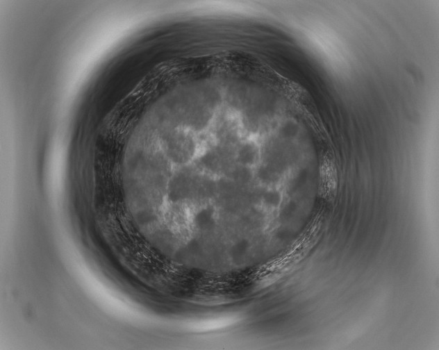 X0000112040765200908101401