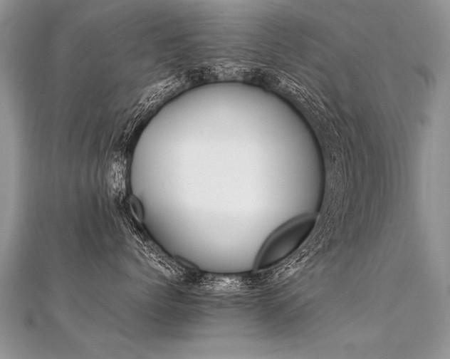 X0000112040768200908101401