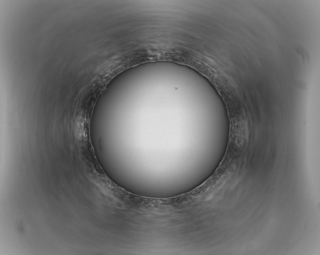 X0000112040770200908101400