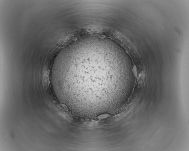 X0000112040772200908101400
