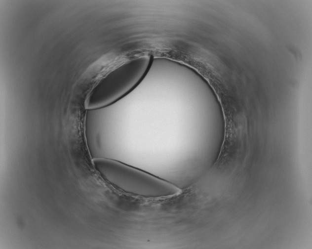 X0000112040773200908101400