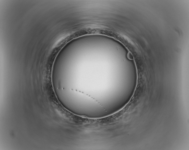 X0000112040775200908101400
