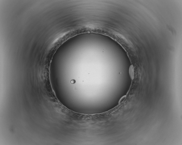 X0000112040776200908101400