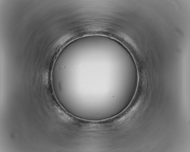 X0000112040777200908101400
