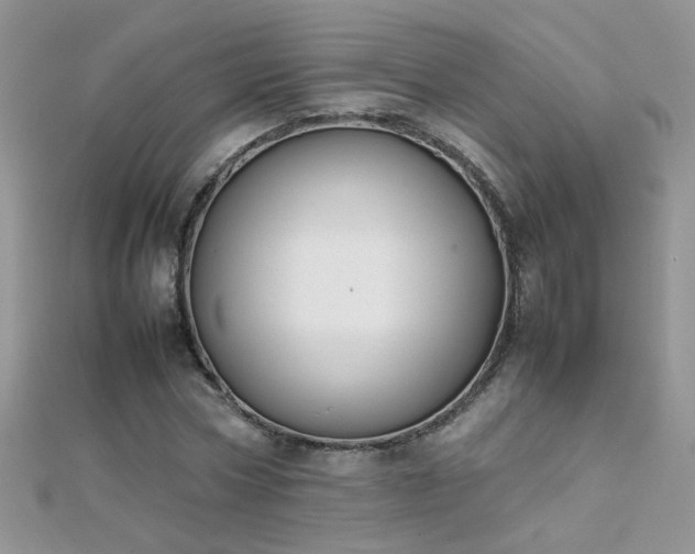 X0000112040778200908101400