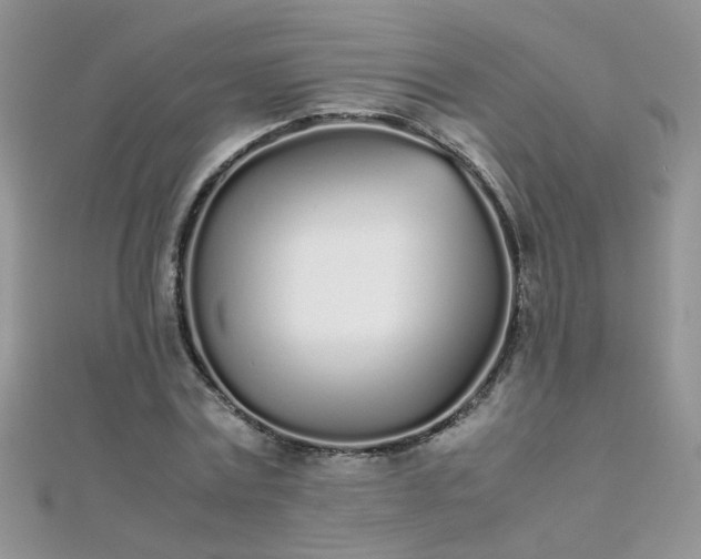 X0000112040779200908101400