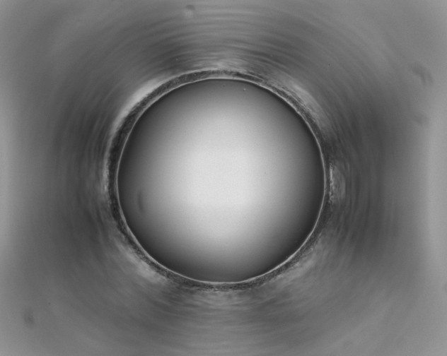X0000112040780200908101400