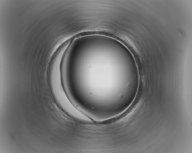 X0000112040781200908101400
