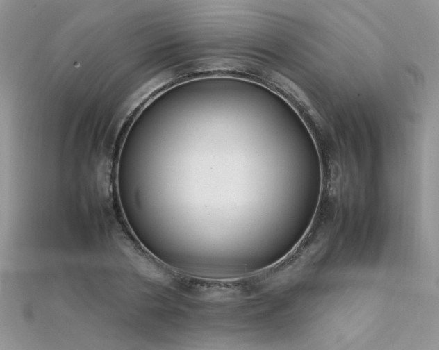 X0000112040786200908101400