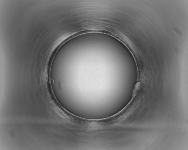 X0000112040787200908101400