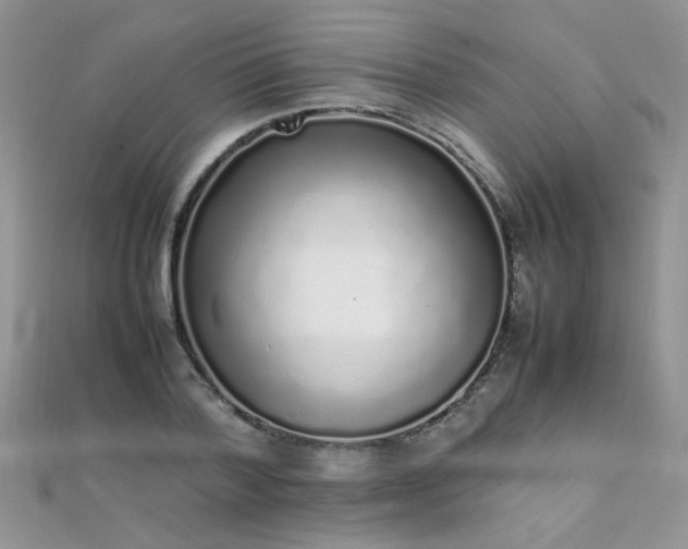 X0000112040788200908101400