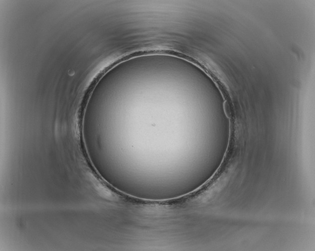 X0000112040789200908101400