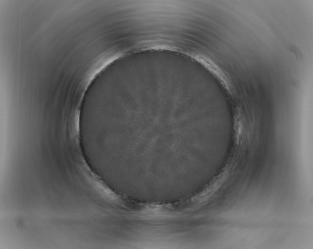 X0000112040790200908101400