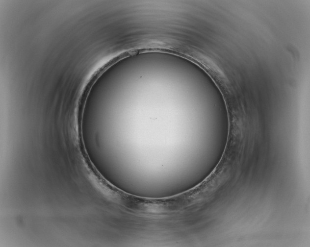X0000112040792200908101400