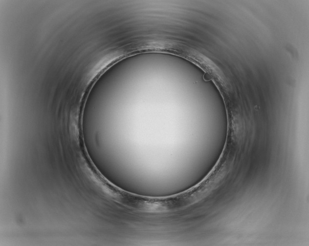 X0000112040794200908101400