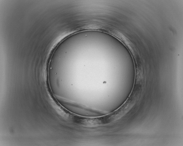 X0000112040795200908101400