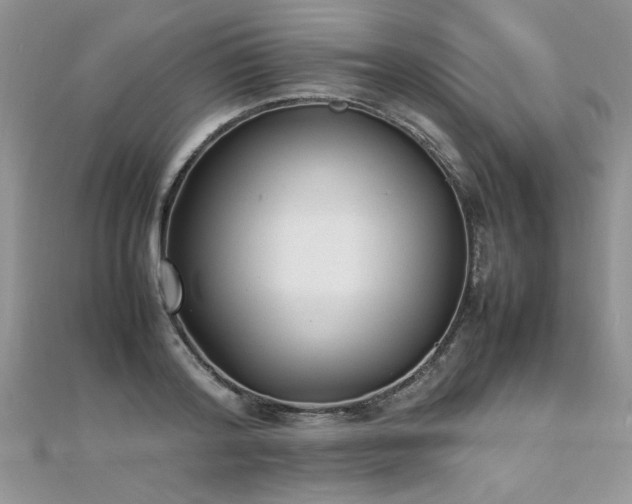 X0000112040796200908101400