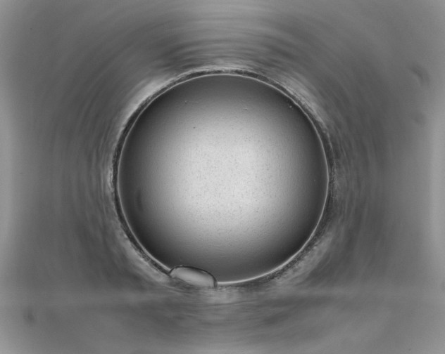 X0000112040797200908101400