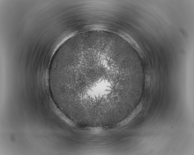 X0000112040798200908101400