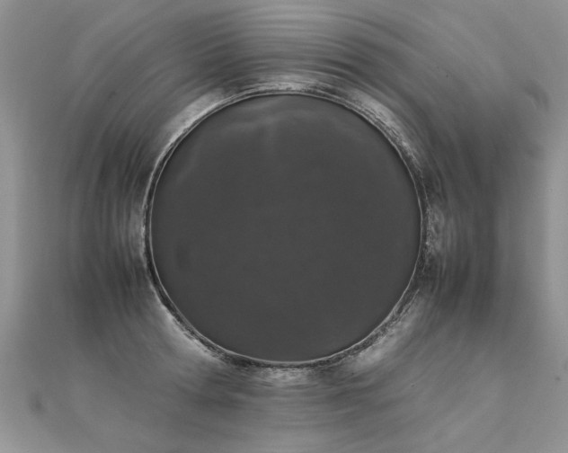 X0000112040802200908101400