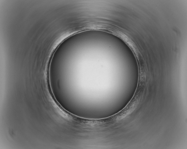 X0000112040803200908101400