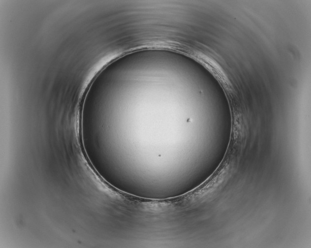 X0000112040804200908101400
