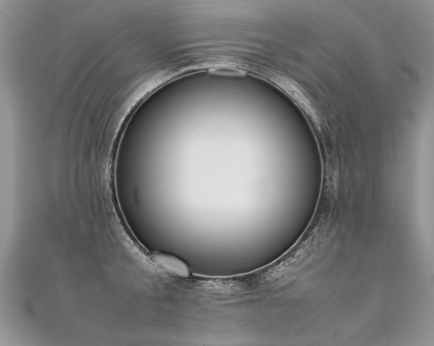 X0000112040805200908101400