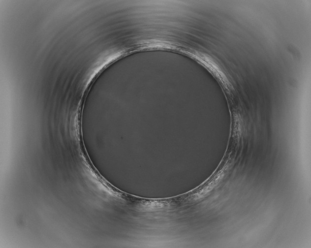 X0000112040806200908101400