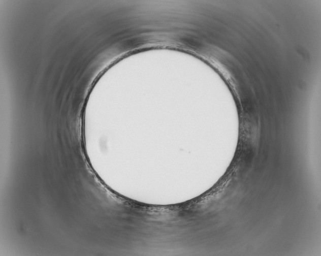 X0000112040807200908101400