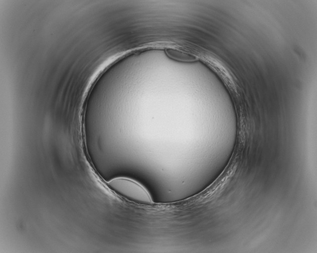 X0000112040808200908101400
