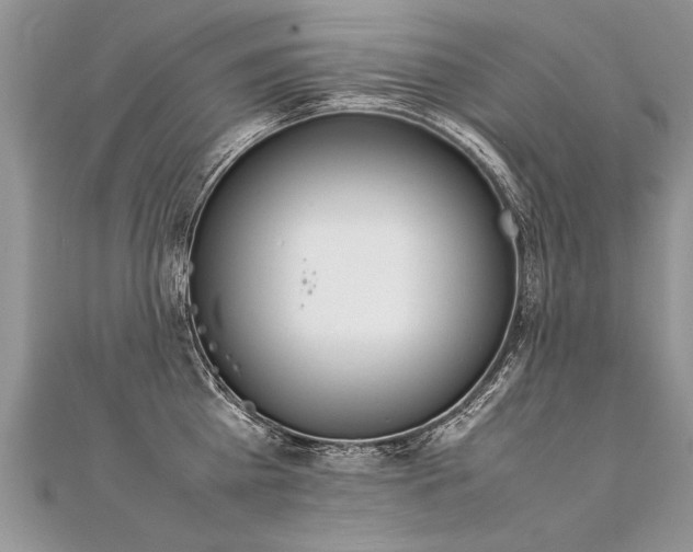 X0000112040809200908101400