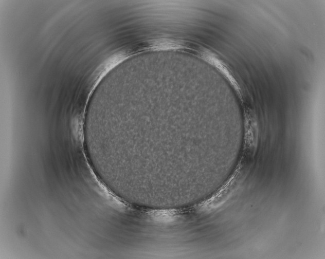 X0000112040810200908101400