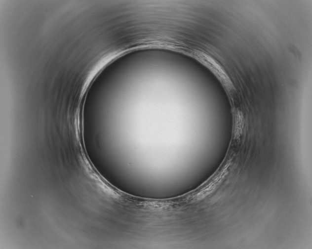 X0000112040812200908101400