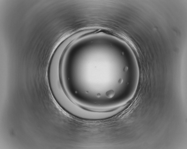 X0000112040813200908101400