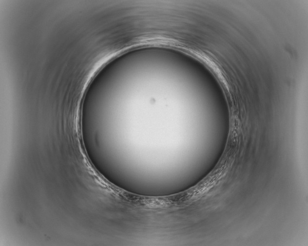 X0000112040815200908101400