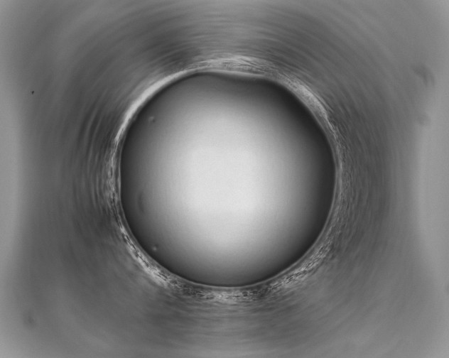 X0000112040816200908101400