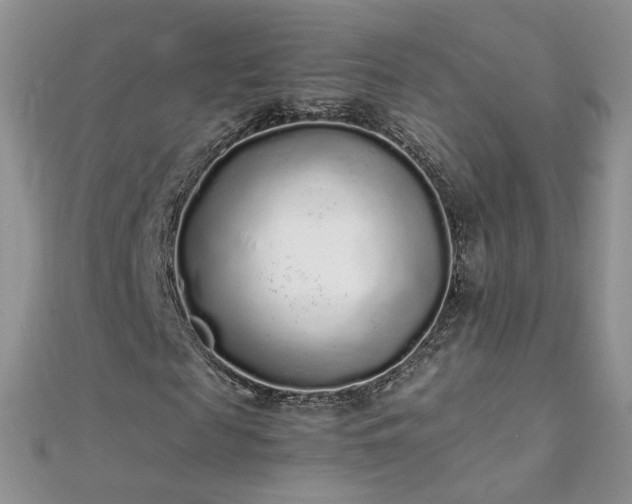 X0000112040817200908101359