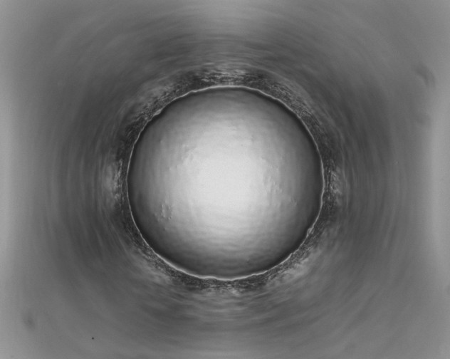 X0000112040818200908101359